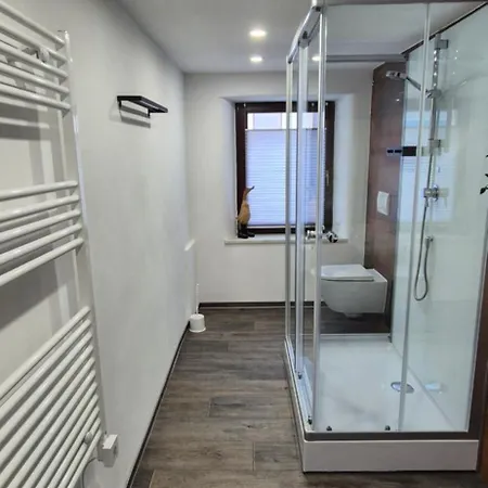 Grosse Sommerleite Apartament *